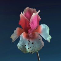 Purchase Flume - Skin: The Remixes