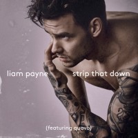 Purchase Liam Payne, Quavo - Strip That Down (CDS)