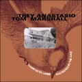 Buy Trey Anastasio - Trampled By Lambs And Pecked By The Doves (With Tom Marshall) Mp3 Download
