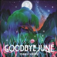 Purchase Goodbye June - Magic Valley