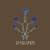Buy Saxon Shore - Be A Bright Blue Mp3 Download