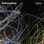 Buy Anthony Davis - Undine Mp3 Download