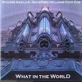 Buy Richard Sinclair - What In The World Mp3 Download