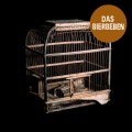 Buy Das Bierbeben - Das Bierbeben Mp3 Download