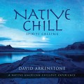 Buy David Arkenstone - Native Chill: Spirits Calling A Native American Mp3 Download