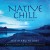 Buy David Arkenstone - Native Chill: Spirits Calling A Native American Mp3 Download