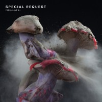 Purchase VA - Special Request: Fabriclive 91