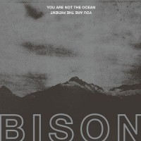Purchase Bison - You Are Not The Ocean You Are The Patient