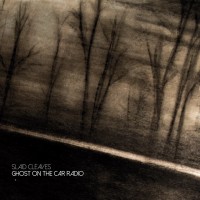 Purchase Slaid Cleaves - Ghost On The Car Radio