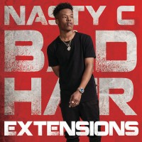 Purchase Nasty C - Bad Hair Extensions