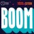 Buy Tiësto & Sevenn - Boom (CDS) Mp3 Download