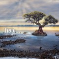 Buy Tree Of Life - Awakening Call Mp3 Download