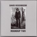 Buy David Rosenboom - Roundup Two - Selected Music With Electro-Acoustic Landscapes (1968-1984) (Remastered) CD2 Mp3 Download
