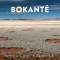 Buy Bokanté - Strange Circles Mp3 Download