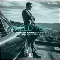 Purchase Armin van Buuren - I Need You (CDS)