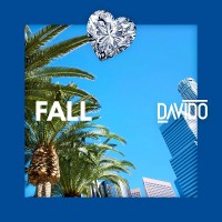 Purchase Davido - Fall (CDS)