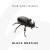 Buy Our Last Night - Black Beatles (Rae Sremmurd Cover) (CDS) Mp3 Download