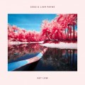 Buy Zedd & Liam Payne - Get Low (CDS) Mp3 Download