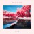 Buy Zedd & Liam Payne - Get Low (CDS) Mp3 Download