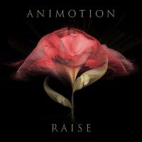 Purchase Animotion - Raise Your Expectations