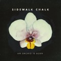 Buy Sidewalk Chalk - An Orchid Is Born Mp3 Download