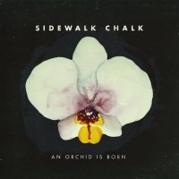 Purchase Sidewalk Chalk - An Orchid Is Born