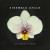 Buy Sidewalk Chalk - An Orchid Is Born Mp3 Download