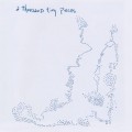 Buy Sean Hayes - A Thousand Tiny Pieces Mp3 Download