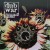 Buy Dub War - Wrong Side Of Beautiful Mp3 Download