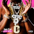 Buy Yo Gotti - Rake It Up (Feat. Nicki Minaj) (CDS) Mp3 Download