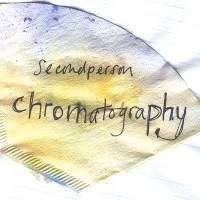 Purchase Second Person - Chromatography