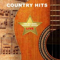 Purchase Kenny Loggins, Leann Rimes & Ashford & Simpson - Big Bang Concert Series: Country Hits (Live)