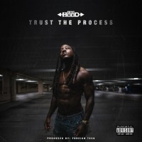 Purchase Ace Hood - Trust The Process