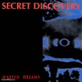 Buy Secret Discovery - Wasted Dreams Mp3 Download