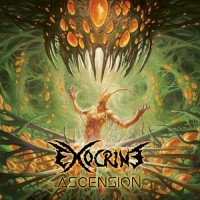 Purchase Exocrine - Ascension