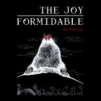 Purchase The Joy Formidable - The Big More