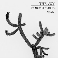 Purchase The Joy Formidable - Cholla
