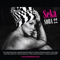 Purchase Seka Aleksic - Soba 22 (CDS)