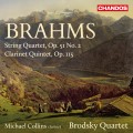 Buy VA - Brahms - String Quartet In A Minor; Clarinet Quintet (With Michael Collins) Mp3 Download