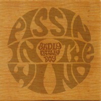 Purchase Badly Drawn Boy - Pissin' In The Wind (CDS)