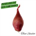 Buy Peter And The Test Tube Babies - That Shallot Mp3 Download