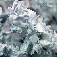 Purchase VA - Pop Ambient 2017