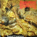 Buy Squash Bowels & WTN - Tested Creatures / Resected Excoriated Cavity Mp3 Download
