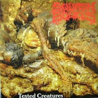 Purchase Squash Bowels & WTN - Tested Creatures / Resected Excoriated Cavity