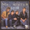 Buy Mr. Mister - Is It Love (VLS) Mp3 Download