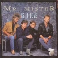 Purchase Mr. Mister - Is It Love (VLS)