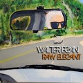 Buy Walter Egan - Raw Elegant Mp3 Download