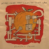Purchase Mary Halvorson - Electric Fruit (With Weasel Walter & Peter Evans)