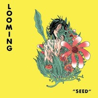 Purchase Looming - Seed