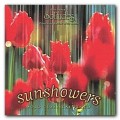 Buy Dan Gibson - Sunshowers Mp3 Download